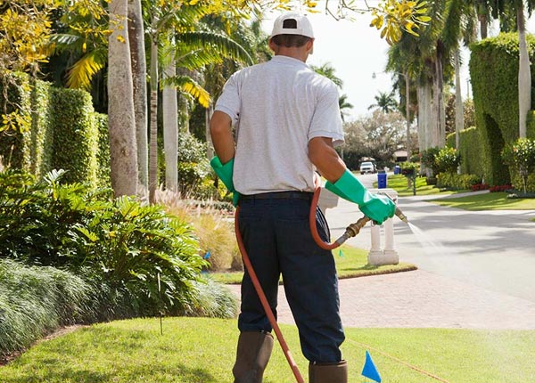 About Water Valley KY Pest Control